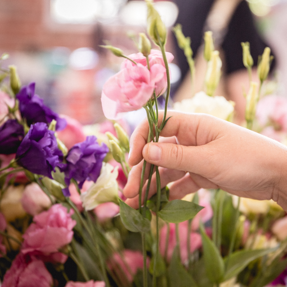 Home Hastings Flower Mart Exotic Fresh Flowers In Barbados